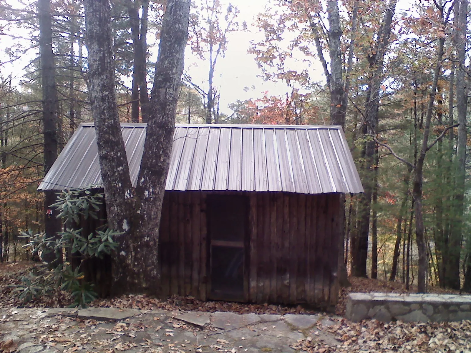 New metal gable roof on a small log shed among the trees in Clare