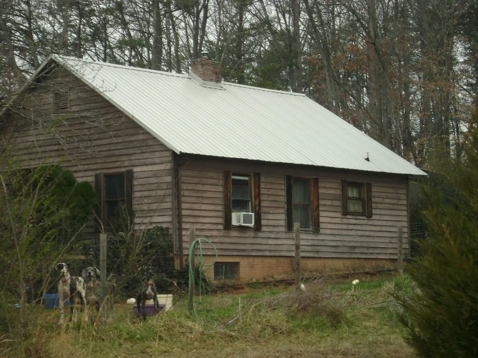 White metal roof on an old wood sided farmhouse, from a Asphalt Shingle Roof Repair job in Clare